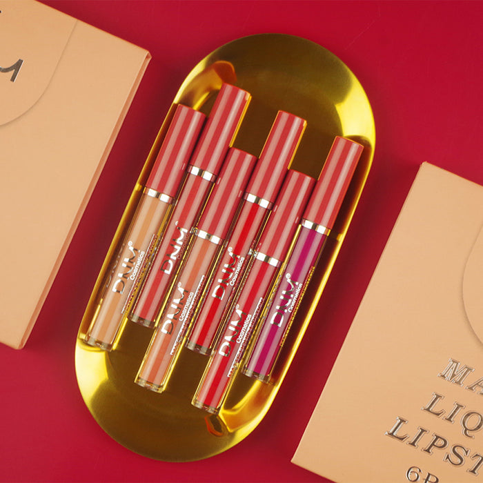 6Pcs Matte Liquid Lipstick Set Lip Stain Makeup,evpct 24 Hour Long Lasting Waterproof Dark Red Matte Matt Lipsticks Lip Gloss Sets for Women Matt Liquid Lippies labiales matte larga duracion 24 Set12