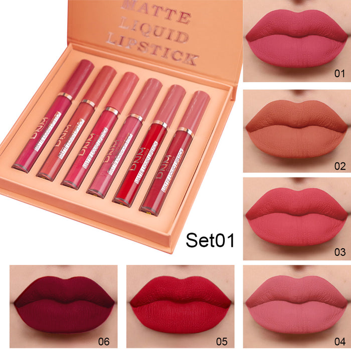 6Pcs Matte Liquid Lipstick Set Lip Stain Makeup,evpct 24 Hour Long Lasting Waterproof Dark Red Matte Matt Lipsticks Lip Gloss Sets for Women Matt Liquid Lippies labiales matte larga duracion 24 Set10