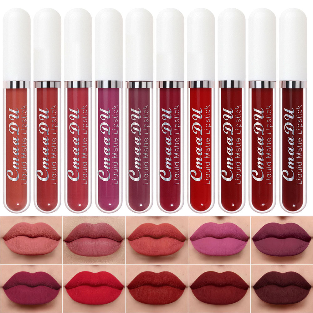 evpct 10Pcs Waterproof Liquid Matte Matt Lipsticks Set Matt Liquid,CmaaDU Dark Red 24 Hour Long Lasting Matte Lipstick Lip Stain Gloss Makeup Sets for Women Lippies labiales matte larga duracion 24 15