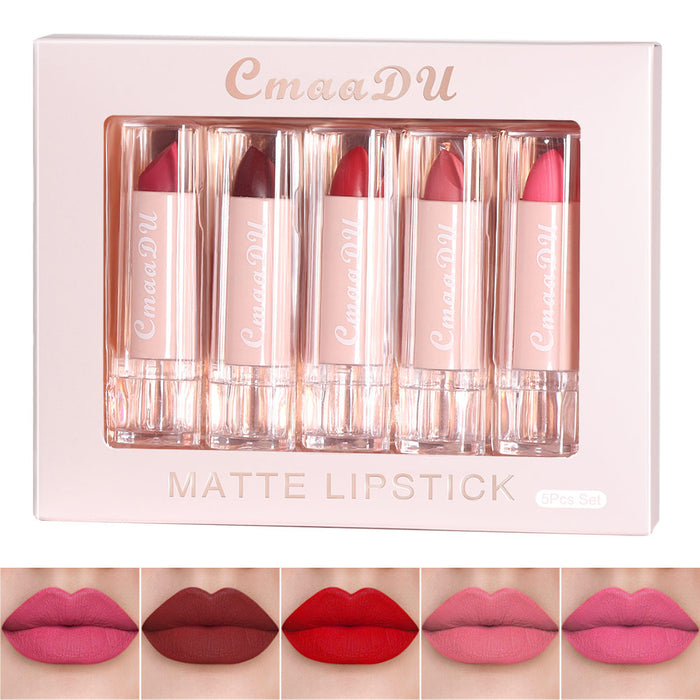 evpct 5 Colors Matte Lipsticks Set,High Impact Lipcolor with Smooth Moisturizing Creamy Formula,Longwear Waterproof Pigment Soft Matte Slim Lipstick Lip Makeup Gift Set Kit?0.123 Oz (3.5g)-5Pcs