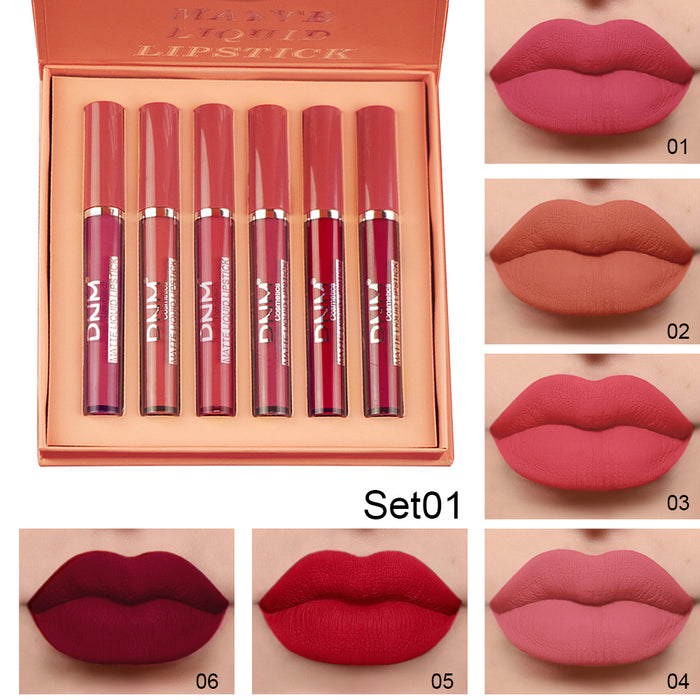 6Pcs Matte Liquid Lipstick Set Lip Stain Makeup,evpct 24 Hour Long Lasting Waterproof Dark Red Matte Matt Lipsticks Lip Gloss Sets for Women Matt Liquid Lippies labiales matte larga duracion 24 Set10