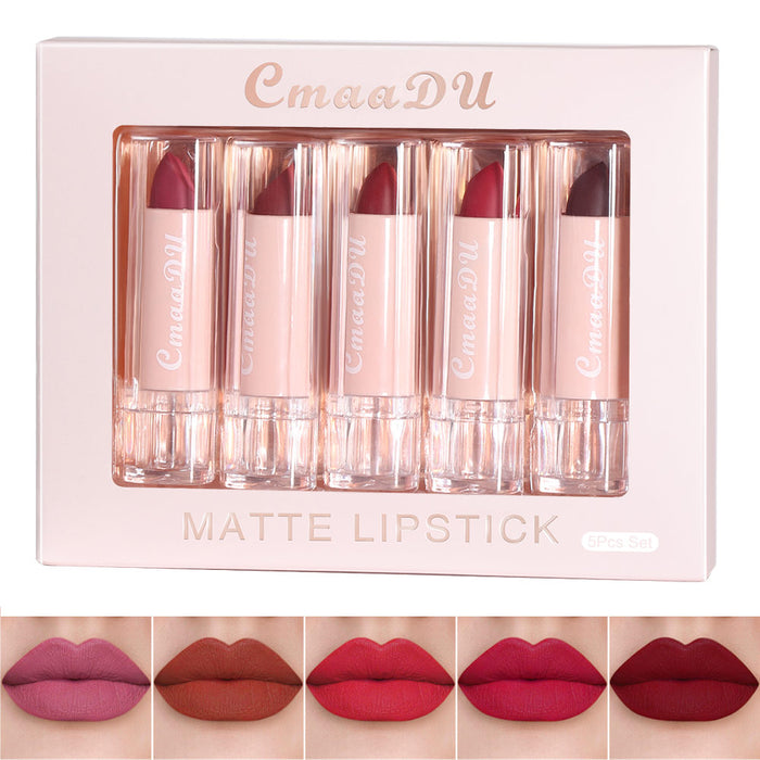 evpct 5 Colors Matte Lipsticks Set,High Impact Lipcolor with Smooth Moisturizing Creamy Formula,Longwear Waterproof Pigment Soft Matte Slim Lipstick Lip Makeup Gift Set Kit?0.123 Oz (3.5g)-5Pcs