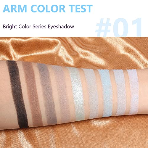 CAKAILA 9 Colors Blue Grey Highly Pigmented Colorful Eyeshadow Palette,Matte Shimmer Navy Blue Sky Blue Grey Eye Shadow Makeup Palettes,Long