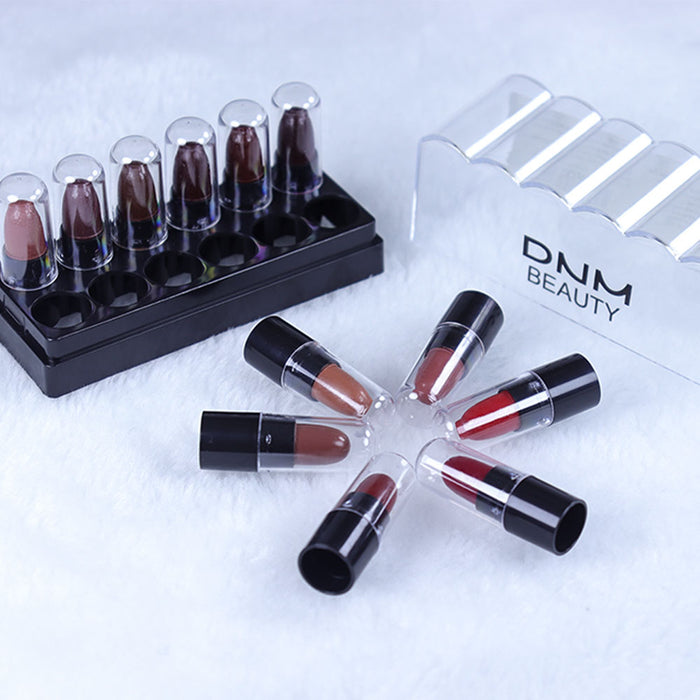 12 Colors Moisture Matte Lipstick Set Velvety Long Lasting Nude Waterproof Lipsticks Allure Series Kit(Allure Color)