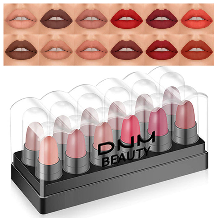 12 Colors Moisture Matte Lipstick Set Velvety Long Lasting Nude Waterproof Lipsticks Allure Series Kit(Allure Color)