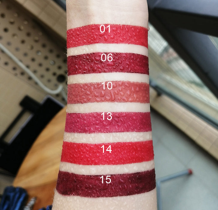 6Pcs Lip Liner and Lipstick Set,DNM Double Head Matte Mat Lipstick 24H & Lip Liner 2 in 1 Makeup Set for Black Women Waterproof Long Lasting 24 Hours Dark Red Lipstick Matte Gift Kit with Lipliner 02