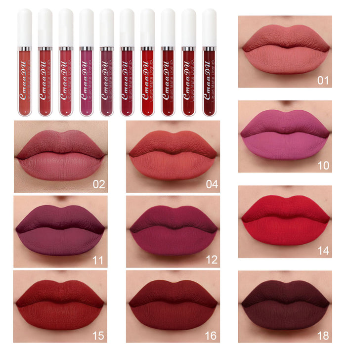 evpct 10Pcs Waterproof Liquid Matte Matt Lipsticks Set Matt Liquid,CmaaDU Dark Red 24 Hour Long Lasting Matte Lipstick Lip Stain Gloss Makeup Sets for Women Lippies labiales matte larga duracion 24 15