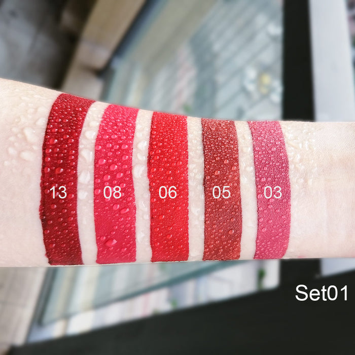 evpct 5 Colors Matte Lipsticks Set,High Impact Lipcolor with Smooth Moisturizing Creamy Formula,Longwear Waterproof Pigment Soft Matte Slim Lipstick Lip Makeup Gift Set Kit?0.123 Oz (3.5g)-5Pcs