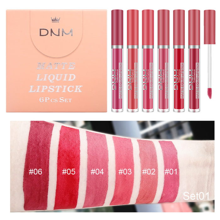 6Pcs Matte Liquid Lipstick Set Lip Stain Makeup,evpct 24 Hour Long Lasting Waterproof Dark Red Matte Matt Lipsticks Lip Gloss Sets for Women Matt Liquid Lippies labiales matte larga duracion 24 Set10