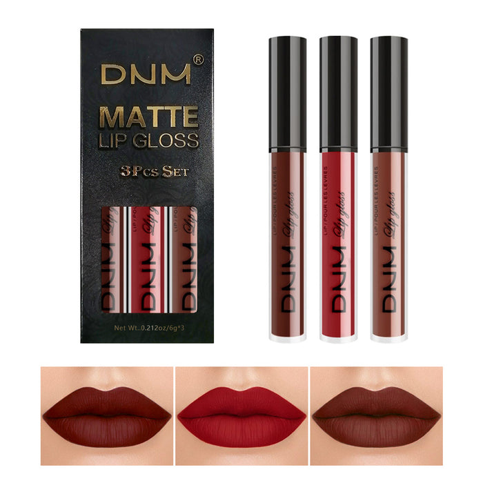 3Pcs Matte 24-hour Liquid Lipstick Sets,Dark Red Purple Matte Lipstick Lip Stain Long Lasting 24 Waterproof Lip Gloss Gift Set Matt Lipsticks Set Matt Liquid Makeup Lipstick for Women Lippies Kit02