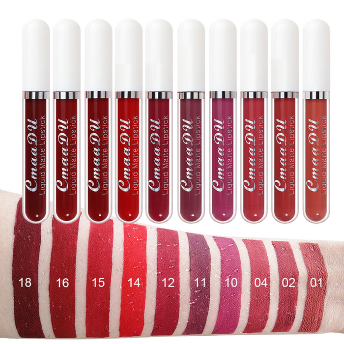 evpct 10Pcs Waterproof Liquid Matte Matt Lipsticks Set Matt Liquid,CmaaDU Dark Red 24 Hour Long Lasting Matte Lipstick Lip Stain Gloss Makeup Sets for Women Lippies labiales matte larga duracion 24 15