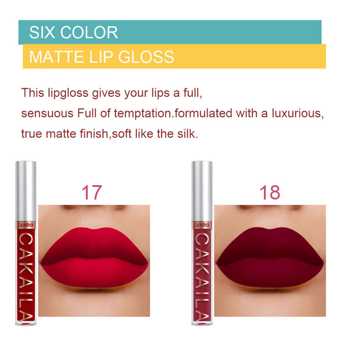 6Pcs Matte Liquid Lipstick Set Velvety Long Lasting High Pigmented Nude Waterproof Lipgloss Kit Girls Women Make Up Gift Set(Color-01)