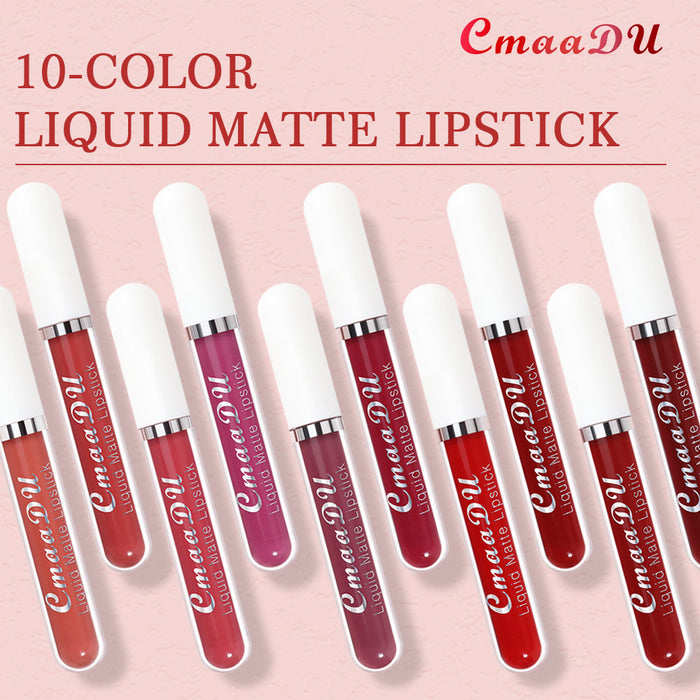 evpct 10Pcs Waterproof Liquid Matte Matt Lipsticks Set Matt Liquid,CmaaDU Dark Red 24 Hour Long Lasting Matte Lipstick Lip Stain Gloss Makeup Sets for Women Lippies labiales matte larga duracion 24 15