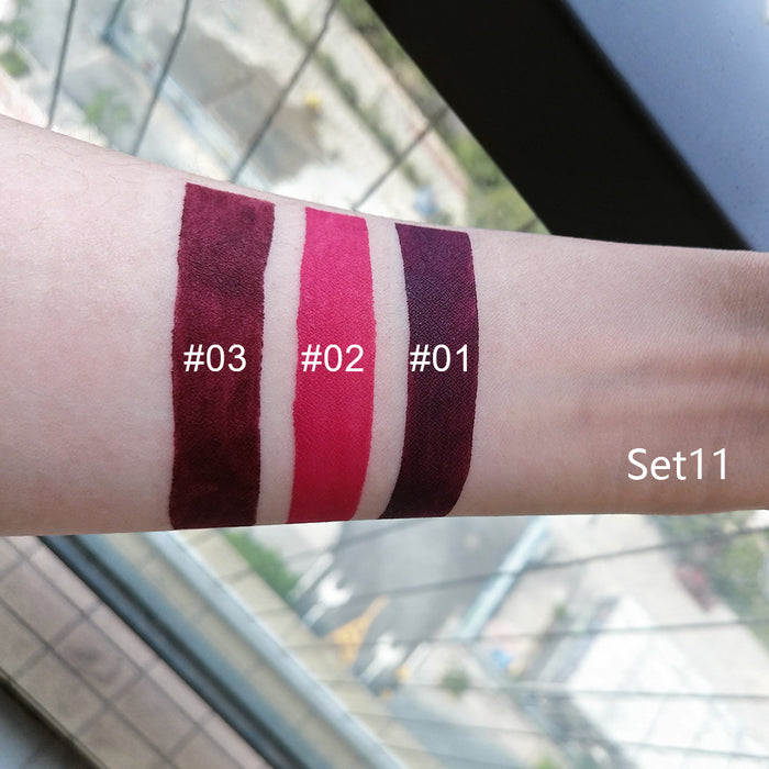 3Pcs Matte 24-hour Liquid Lipstick Sets,Dark Red Purple Matte