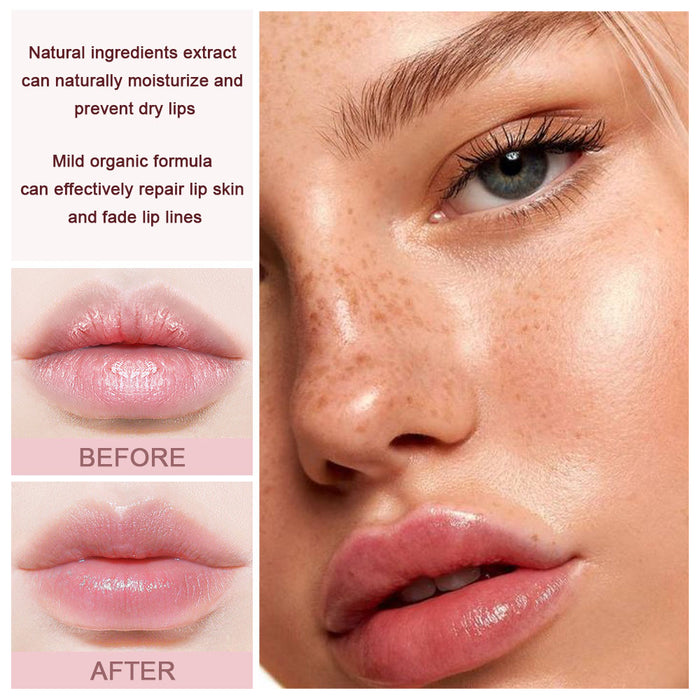 6 pcs Lip Balm set, Lip Dryness Relieves Moisturizing Refreshing Vitamin E Lip Balm with Honey Fruit Lipstick 6pcs Set (Set03)