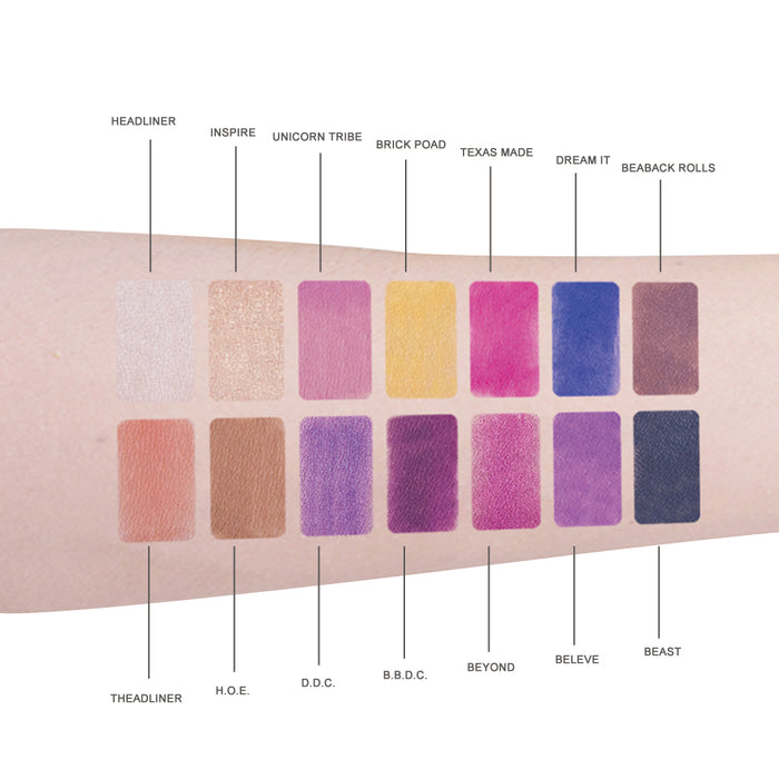 14 Colors Eyeshadow Palette Matte Shimmer Makeup Pallet Natural Waterproof Long Lasting Pigmented Eyeshadow Pallet With Makeup Brush (14 Colors)