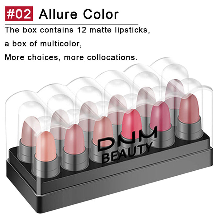 12 Colors Moisture Matte Lipstick Set Velvety Long Lasting Nude Waterproof Lipsticks Allure Series Kit(Allure Color)