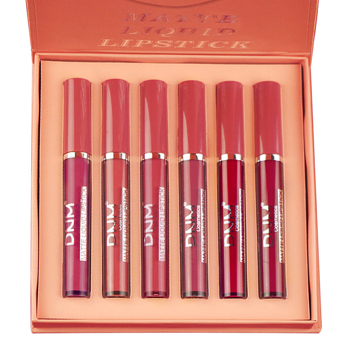 6Pcs Matte Liquid Lipstick Set Lip Stain Makeup,evpct 24 Hour Long Lasting Waterproof Dark Red Matte Matt Lipsticks Lip Gloss Sets for Women Matt Liquid Lippies labiales matte larga duracion 24 Set10
