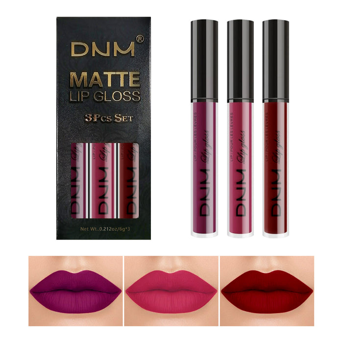 3Pcs Matte 24-hour Liquid Lipstick Sets,Dark Red Purple Matte Lipstick Lip Stain Long Lasting 24 Waterproof Lip Gloss Gift Set Matt Lipsticks Set Matt Liquid Makeup Lipstick for Women Lippies Kit01