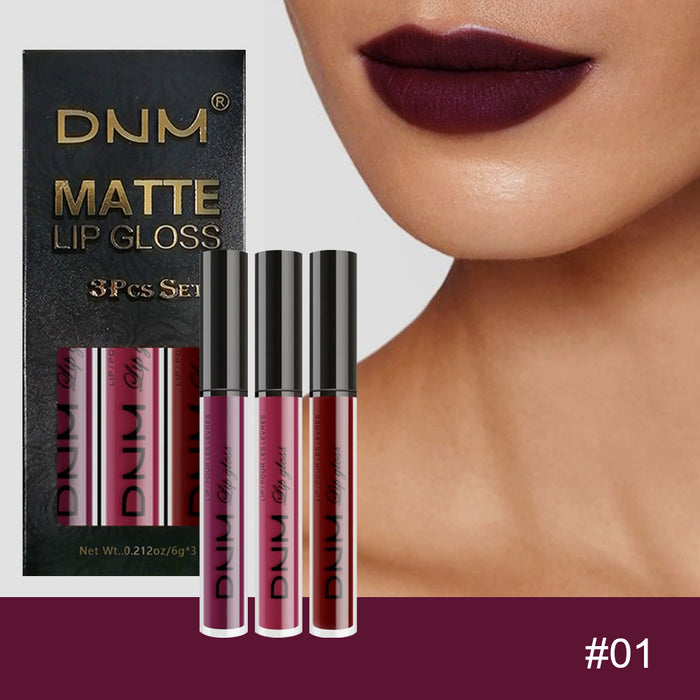 3Pcs Matte 24-hour Liquid Lipstick Sets,Dark Red Purple Matte Lipstick Lip Stain Long Lasting 24 Waterproof Lip Gloss Gift Set Matt Lipsticks Set Matt Liquid Makeup Lipstick for Women Lippies Kit01