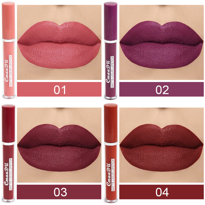 evpct 10Pcs Waterproof Liquid Matte Matt Lipsticks Set Matt Liquid,CmaaDU Dark Red 24 Hour Long Lasting Matte Lipstick Lip Stain Gloss Makeup Sets for Women Lippies labiales matte larga duracion 24 06