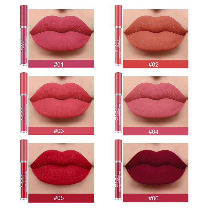 6Pcs Matte Liquid Lipstick Set Lip Stain Makeup,evpct 24 Hour Long Lasting Waterproof Dark Red Matte Matt Lipsticks Lip Gloss Sets for Women Matt Liquid Lippies labiales matte larga duracion 24 Set09