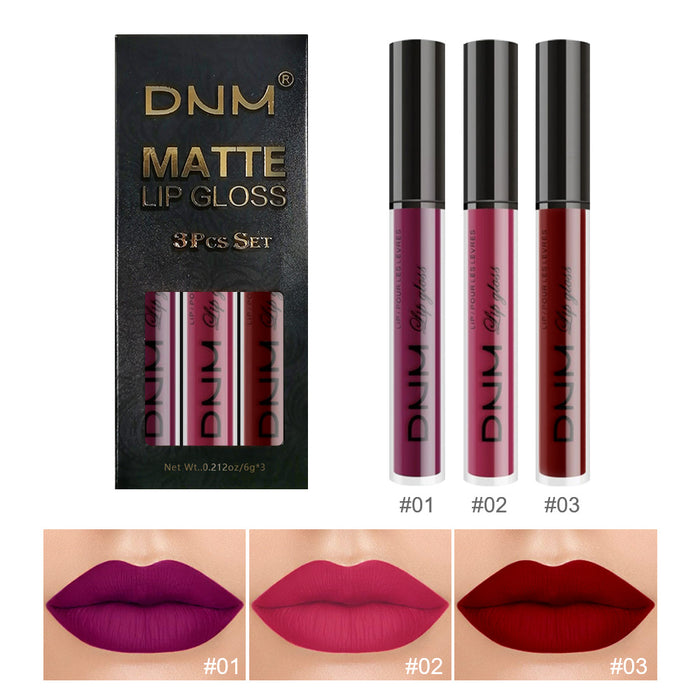 3Pcs Matte 24-hour Liquid Lipstick Sets,Dark Red Purple Matte Lipstick Lip Stain Long Lasting 24 Waterproof Lip Gloss Gift Set Matt Lipsticks Set Matt Liquid Makeup Lipstick for Women Lippies Kit01