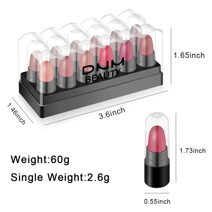 12 Colors Moisture Matte Lipstick Set Velvety Long Lasting Nude Waterproof Lipsticks Allure Series Kit(Allure Color)