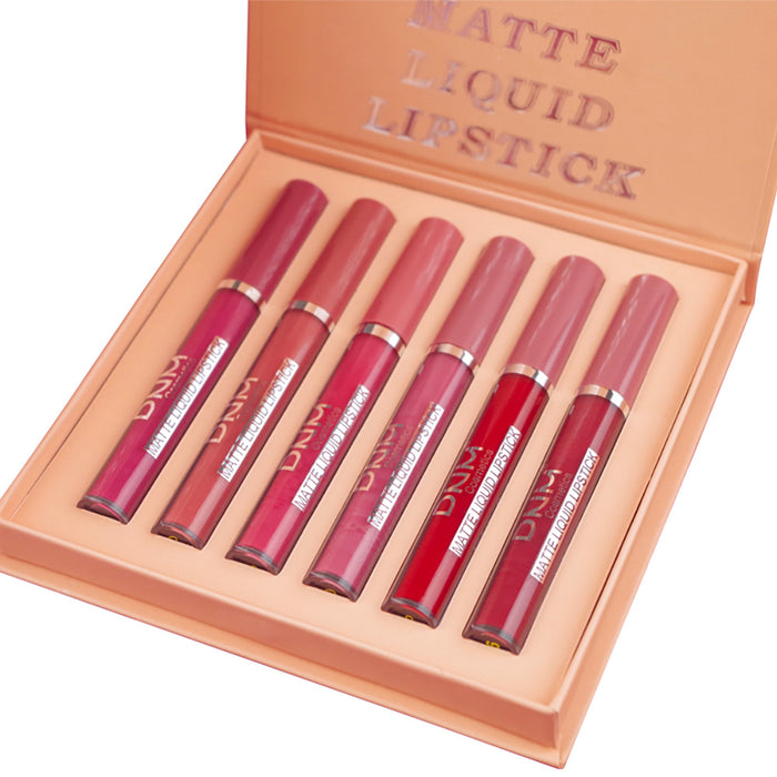 6Pcs Matte Liquid Lipstick Set Lip Stain Makeup,evpct 24 Hour Long Lasting Waterproof Dark Red Matte Matt Lipsticks Lip Gloss Sets for Women Matt Liquid Lippies labiales matte larga duracion 24 Set09