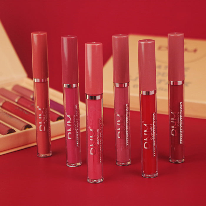 6Pcs Matte Liquid Lipstick Set Lip Stain Makeup,evpct 24 Hour Long Lasting Waterproof Dark Red Matte Matt Lipsticks Lip Gloss Sets for Women Matt Liquid Lippies labiales matte larga duracion 24 Set10