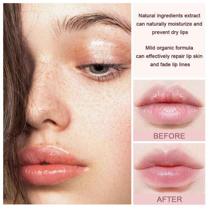 6 pcs Lip Balm set, Lip Dryness Relieves Moisturizing Refreshing Vitamin E Lip Balm with Honey Fruit Lipstick 6pcs Set (Set02)