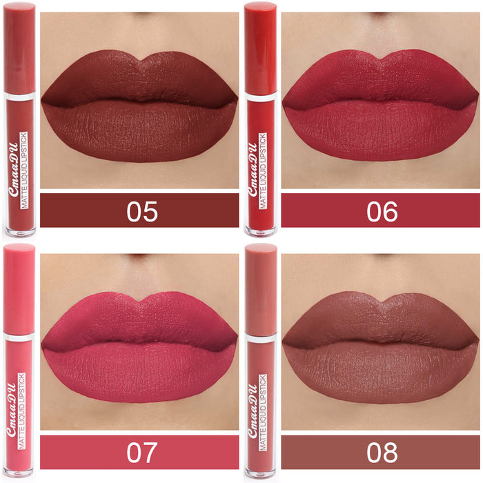 evpct 10Pcs Waterproof Liquid Matte Matt Lipsticks Set Matt Liquid,CmaaDU Dark Red 24 Hour Long Lasting Matte Lipstick Lip Stain Gloss Makeup Sets for Women Lippies labiales matte larga duracion 24 06