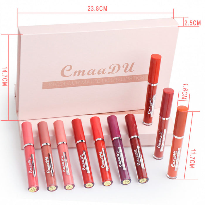 evpct 10Pcs Waterproof Liquid Matte Matt Lipsticks Set Matt Liquid,CmaaDU Dark Red 24 Hour Long Lasting Matte Lipstick Lip Stain Gloss Makeup Sets for Women Lippies labiales matte larga duracion 24 06