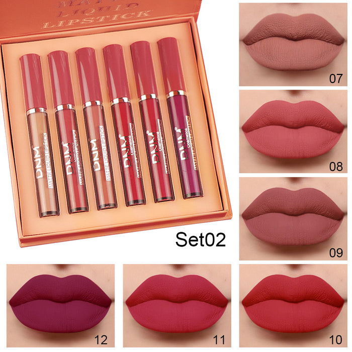 6Pcs Matte Liquid Lipstick Set Lip Stain Makeup,evpct 24 Hour Long Lasting Waterproof Dark Red Matte Matt Lipsticks Lip Gloss Sets for Women Matt Liquid Lippies labiales matte larga duracion 24 Set12