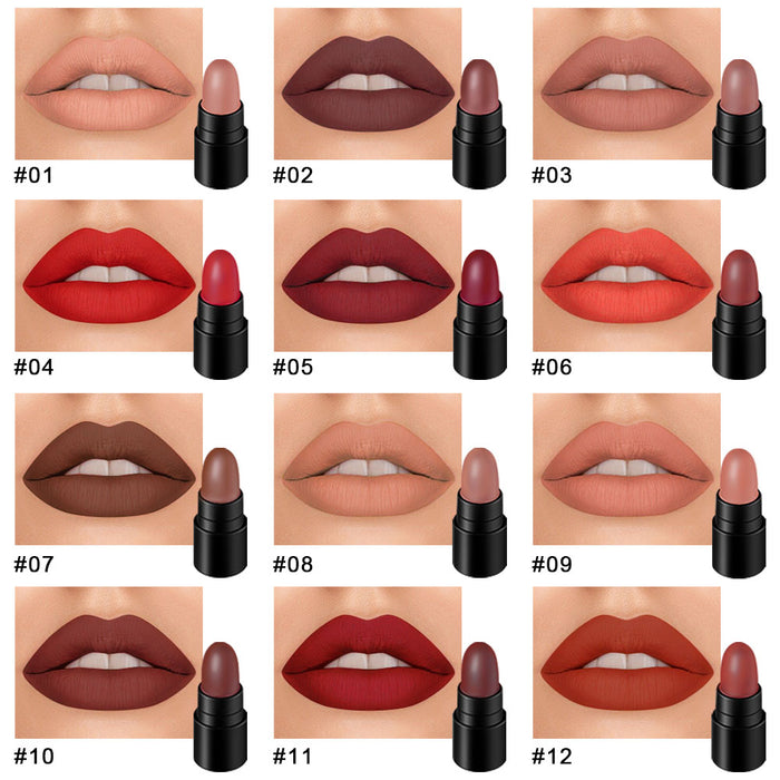 12 Colors Moisture Matte Lipstick Set Velvety Long Lasting Nude Waterproof Lipsticks Allure Series Kit(Allure Color)
