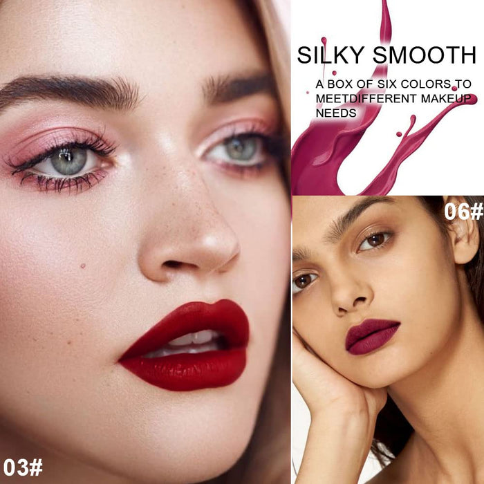 evpct 6Pcs Wine Bottle Lip Tint Matte Lipstick Sets labiales mate 24 horas originales labiales en forma de vino,Red Matte Liquid Lipstick Pack Lip Gloss Stain Set for Women long lasting smudge proof