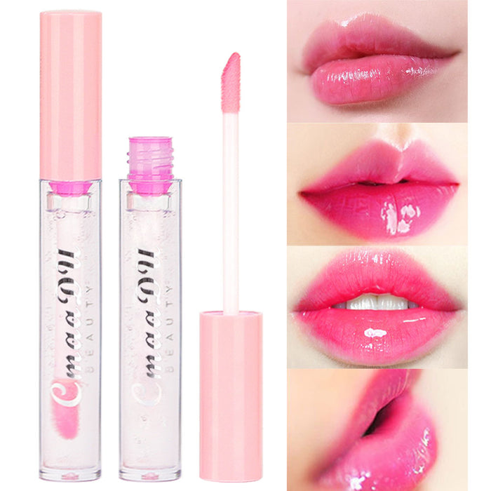 Changing Lipstick Lip Gloss Lip Gloss Moisturizer Lip Gloss  Highlight Color Changing Lip Gloss Long Lasting Lips Won't Dry And Turn  Into Beautiful Pink And Lip Gloss Glitter for Lip