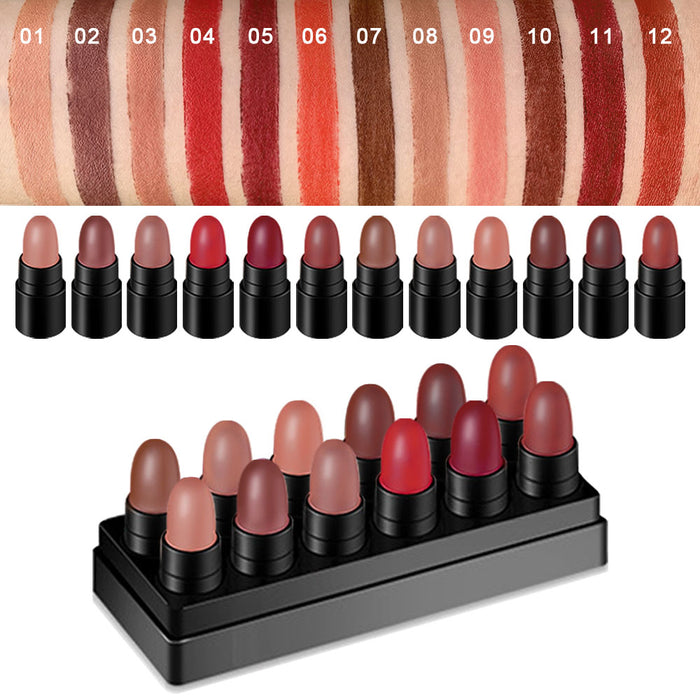 12 Colors Moisture Matte Lipstick Set Velvety Long Lasting Nude Waterproof Lipsticks Allure Series Kit(Allure Color)
